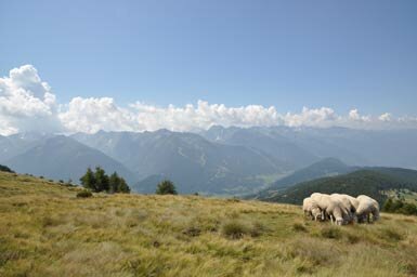 monte padrio