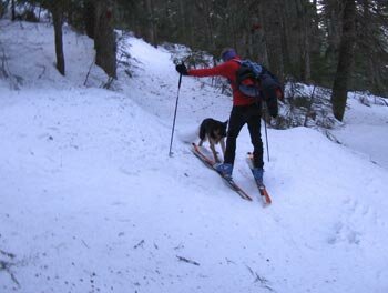 scialpinismo in Aprica